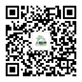 jinnian金年会后勤处