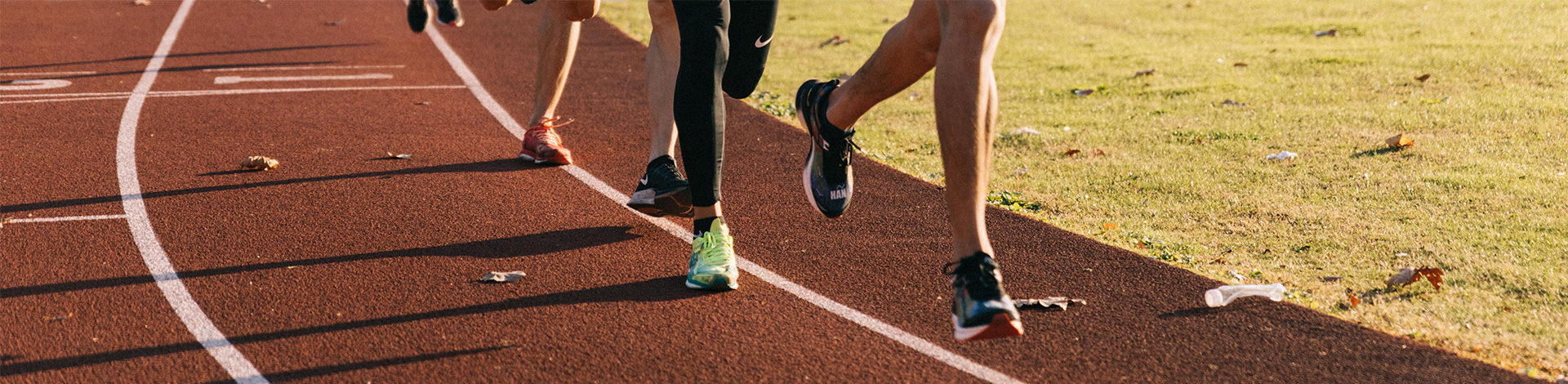 当前栏目装饰图