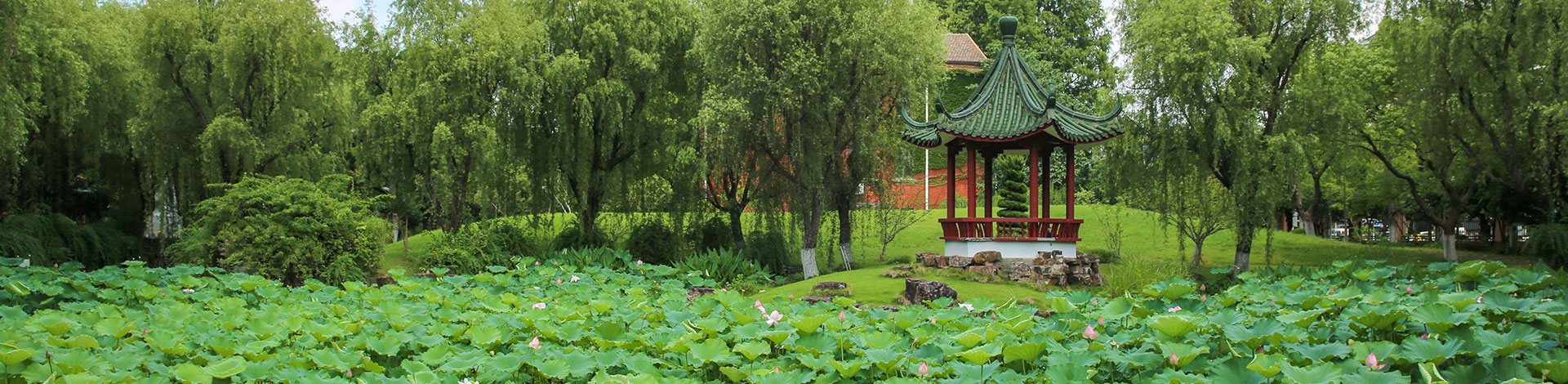 当前栏目装饰图